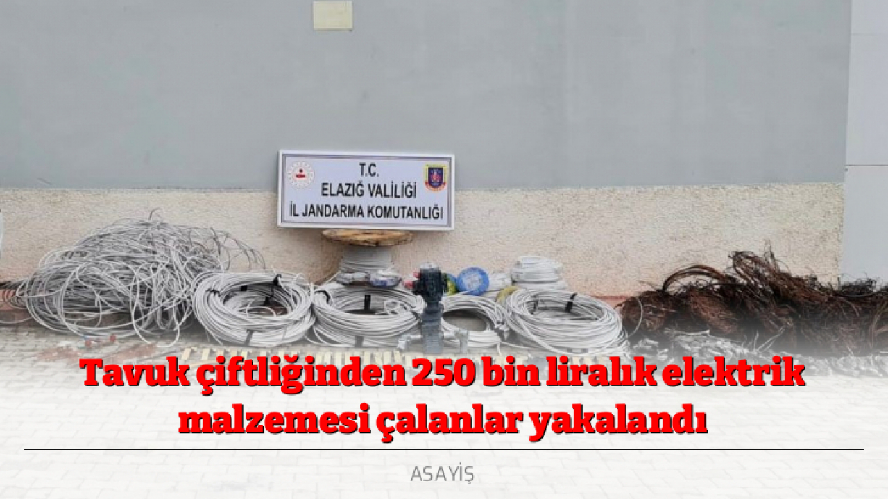 Tavuk çiftliğinden 250 bin liralık elektrik malzemesi çalanlar yakalandı