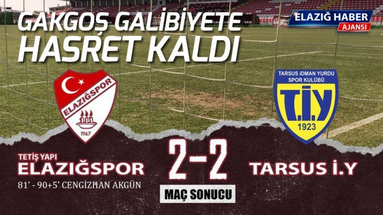 Elazığspor: 2 - Tarsus İdmanyurdu: 2