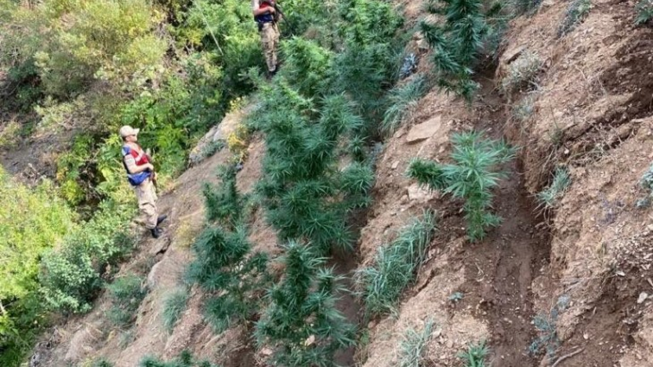 Elazığ'da uyuşturucu operasyonu