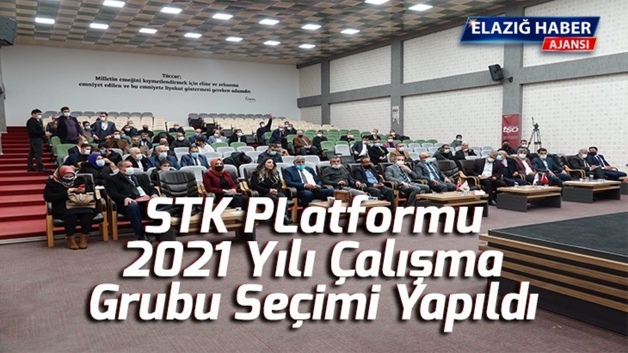 STK PLatformu 2021 yılı çalışma grubu seçimi yapıldı