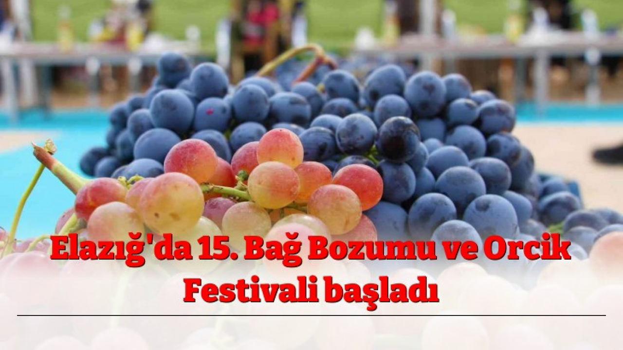 Elazığ'da 15. Bağ Bozumu ve Orcik Festivali başladı