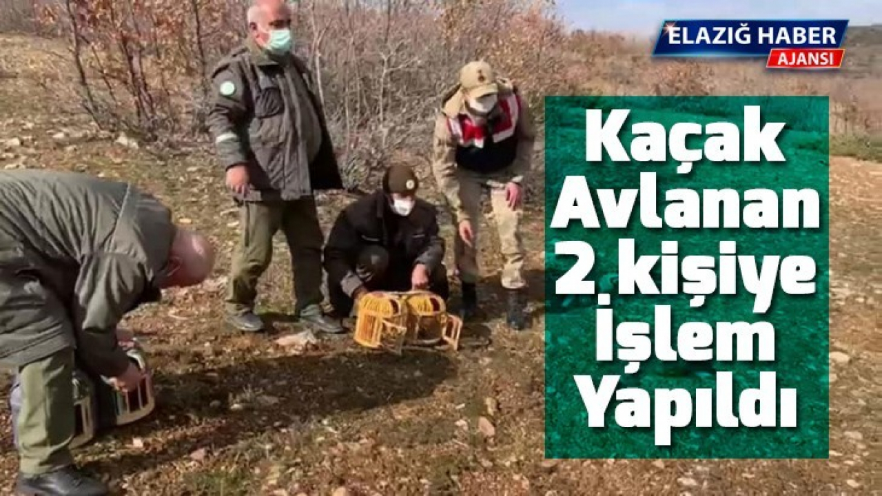 Kaçak avlanan 2 kişiye işlem yapıldı
