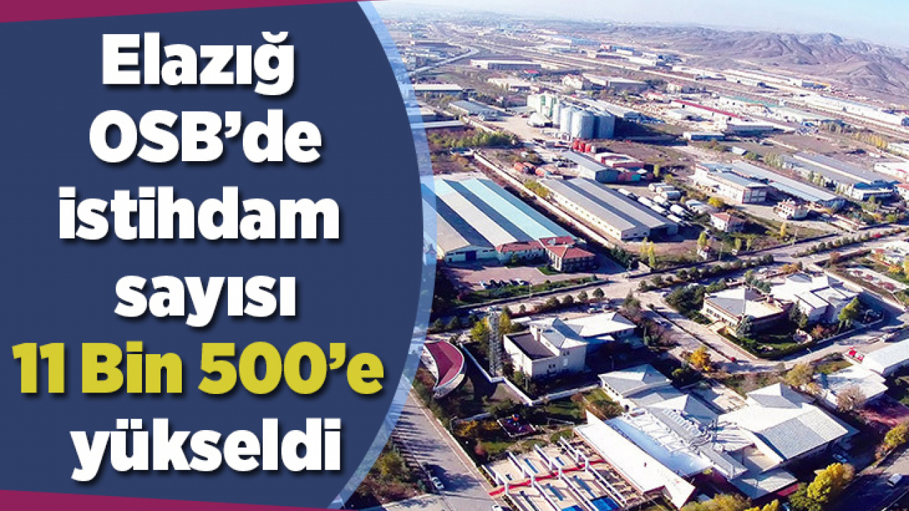 Elazığ OSB'de istihdam sayısı 11 Bin 500'e yükseldi