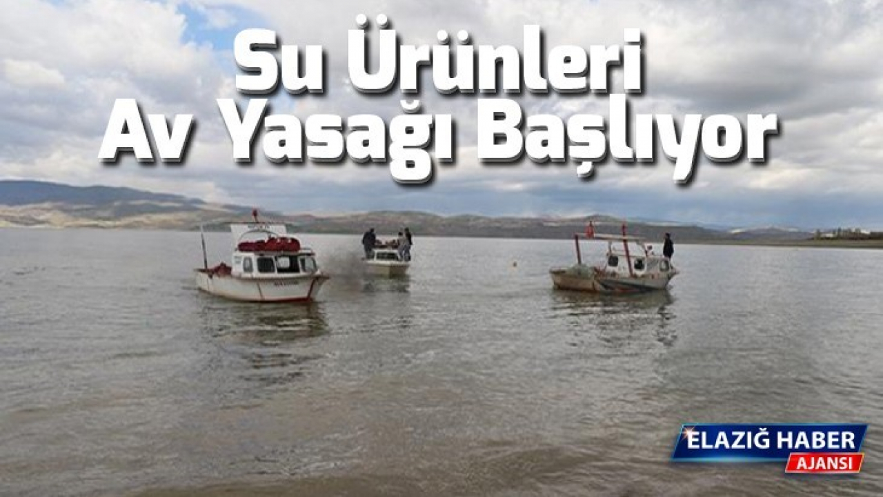 Su Ürünleri Av Yasağı Başlıyor