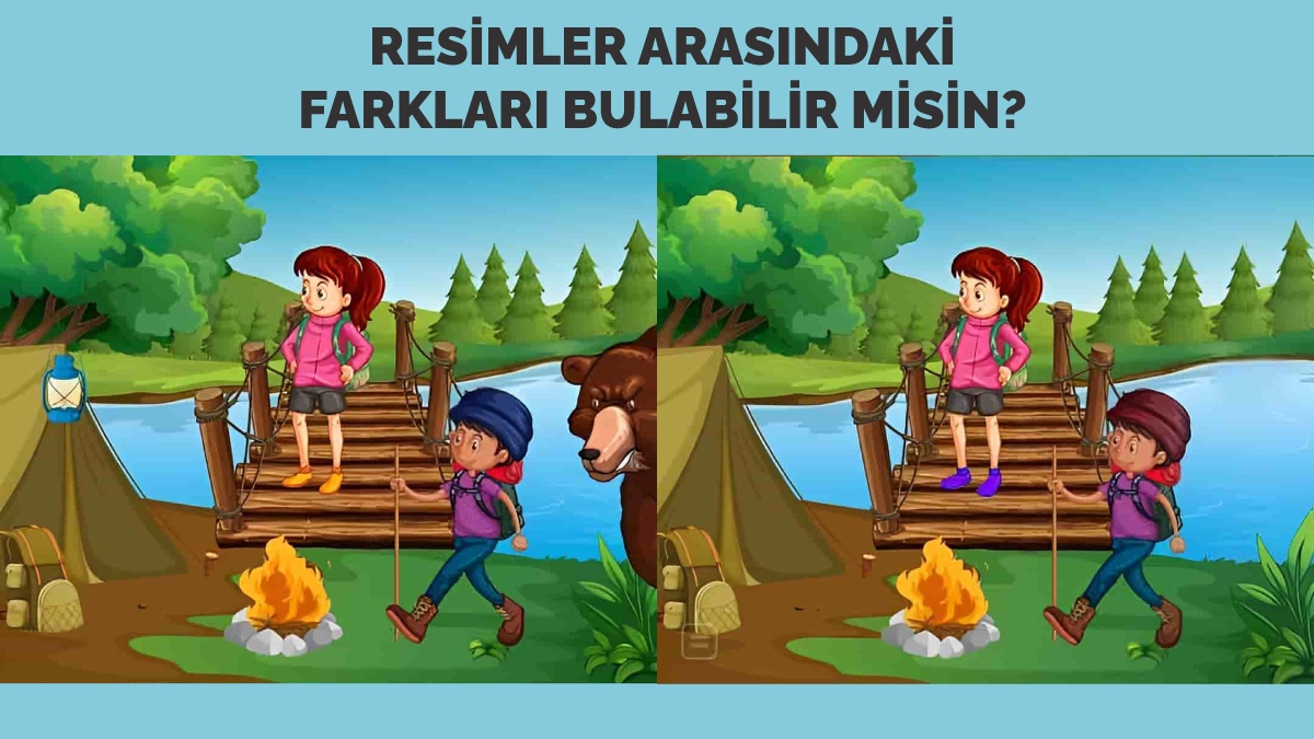 Sadece gerçek dâhiler resimler arasındaki farkı bulabilir! 13 saniyede bulanların IQ'su üstün!