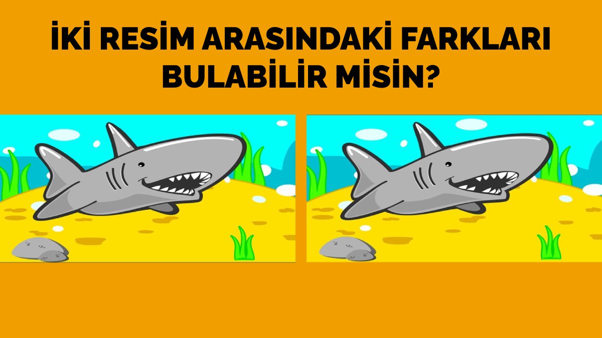 Görseldeki farkları sadece 9 saniyede bulabilecek misin? Sadece gerçek dikkatli insanlar başarabilir!