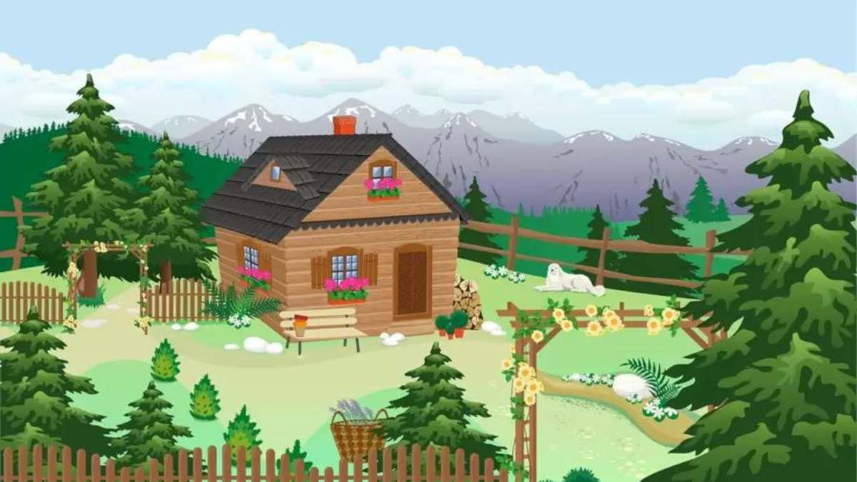 Zekice bir bulmaca: Çiftlikteki gizli ayıyı 5 saniyede bulabilir misin?